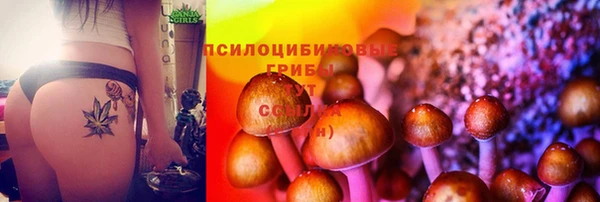СК Михайловск