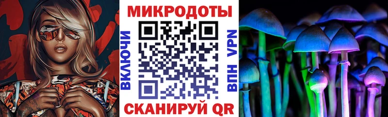 где найти   Энем  Галлюциногенные грибы прущие грибы 